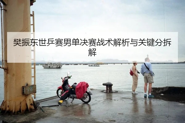 樊振东世乒赛男单决赛战术解析与关键分拆解